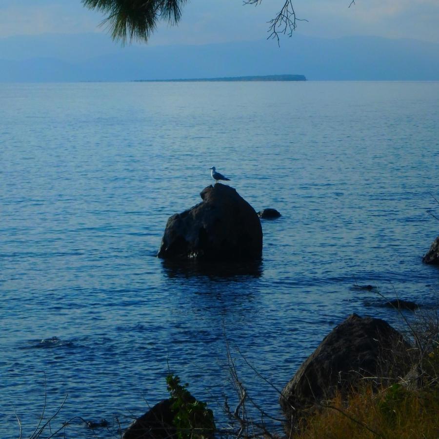 Villa Rodanthos Perdika  Eksteriør bilde